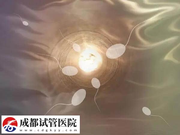 試管嬰兒適應癥一文說請，滿足條件者均可申請助孕！(圖1)