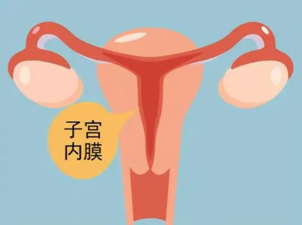 懷孕的孕媽前期怎樣知道男孩女孩？看男女的小妙招有嗎？(圖1)